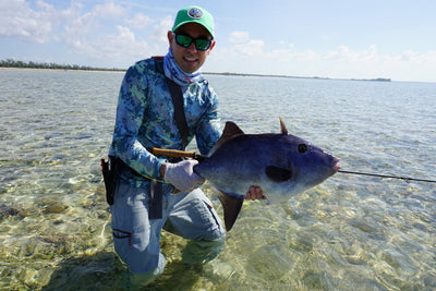 How to Catch Triggerfish on the Fly
