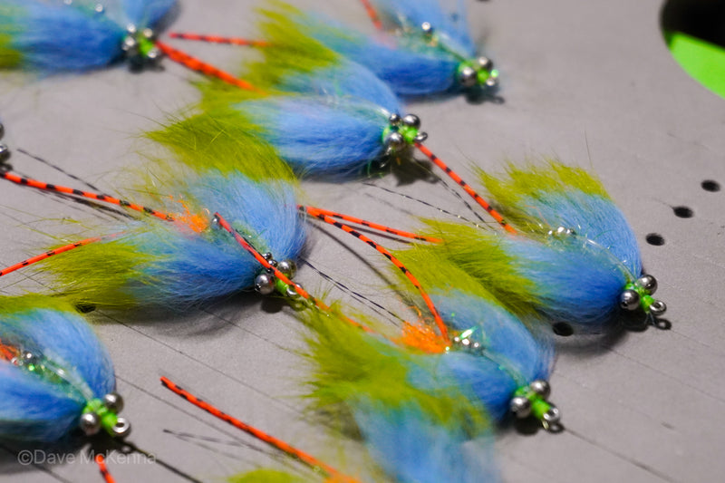 Key Lime and Green Avalon shrimp with orange and black rubber legs with size