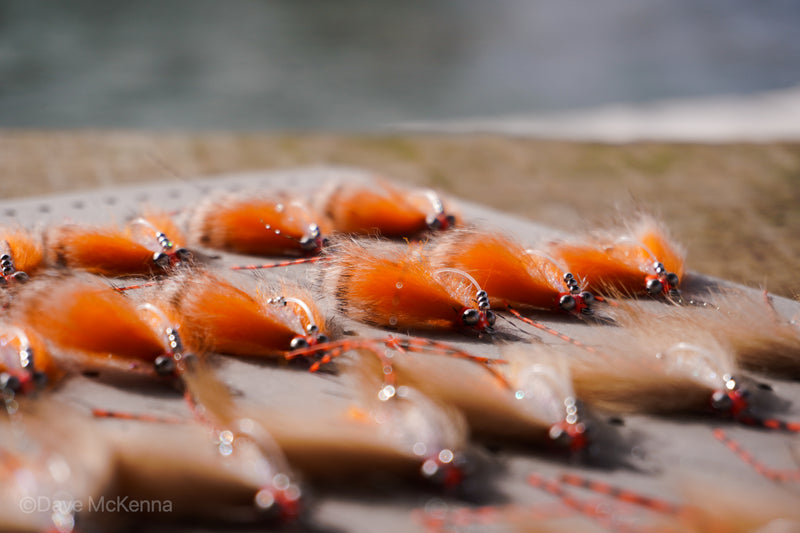 Green, tan, spawning shrimp (orange) Avalons tied with a weed guard and beads on size