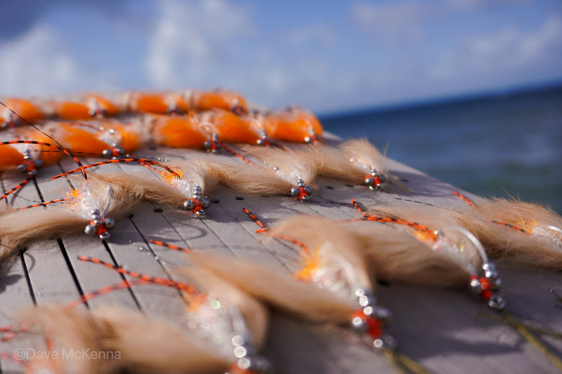 Green, tan, spawning shrimp (orange) Avalons tied with a weed guard and beads on size 