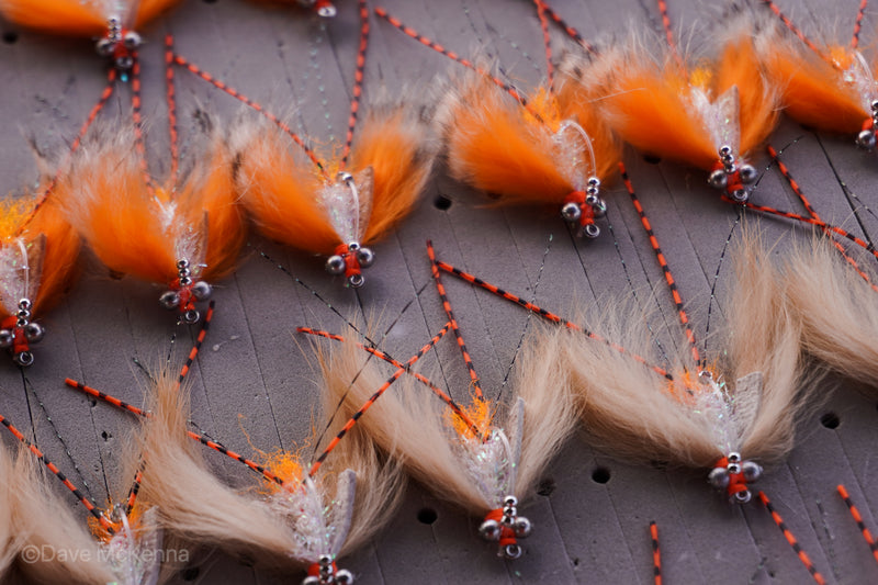 Green, tan, spawning shrimp (orange) Avalons tied with a weed guard and beads on size