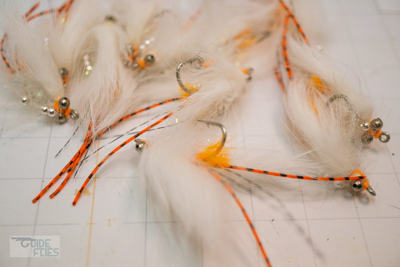 Avalon Shrimp