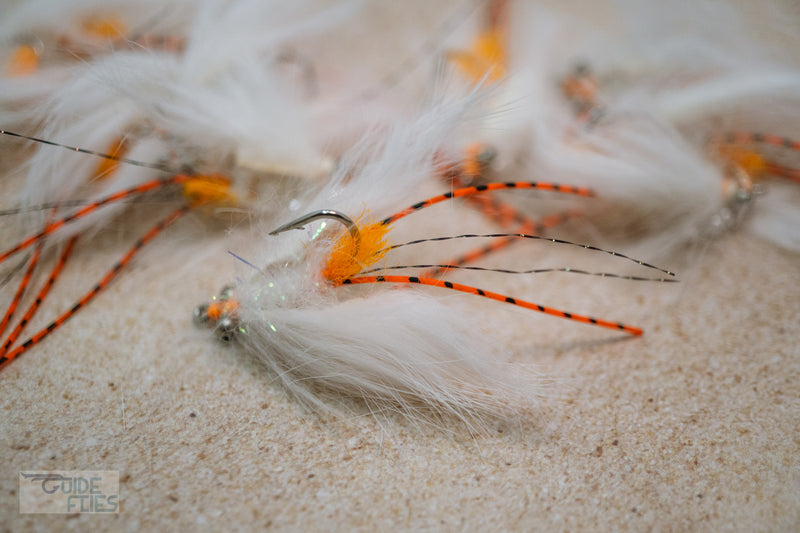 Avalon Shrimp