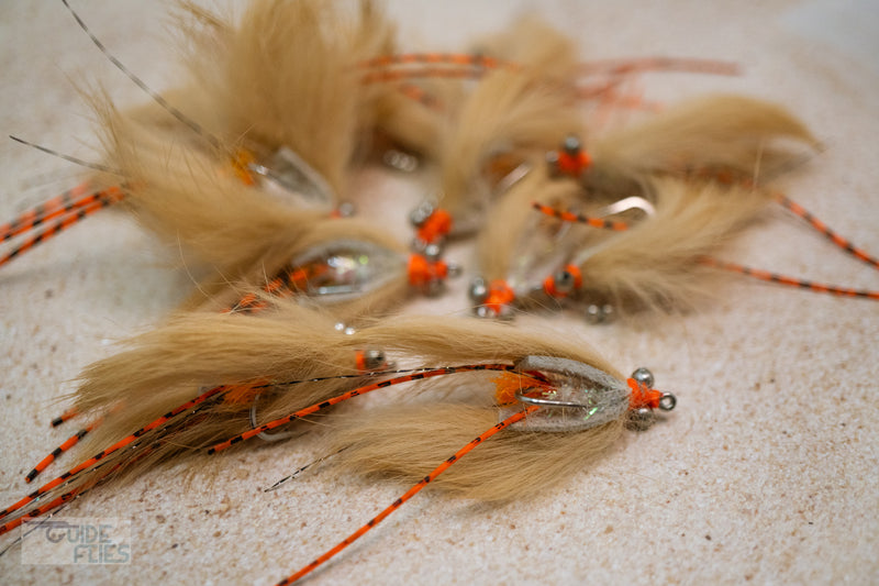 Avalon Shrimp