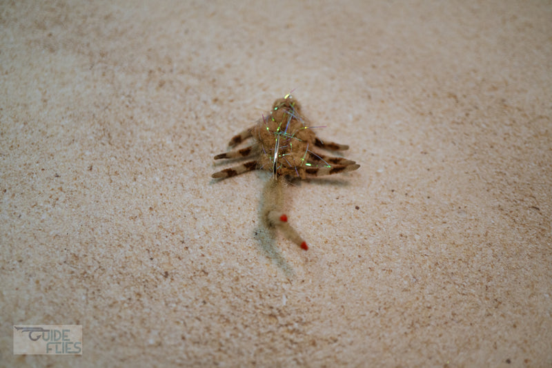 Body Guard Crabs