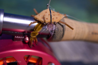 Brown D-Back Crab with extra heavy wire jig-hook, medium lead eyes and color-matching epoxy belly