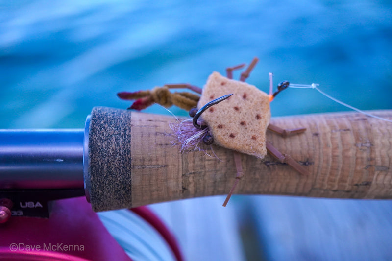D-Back Crabs