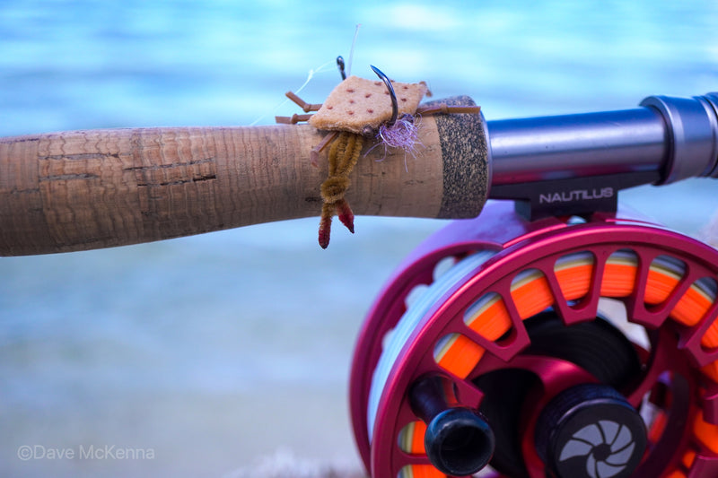 D-Back Crabs