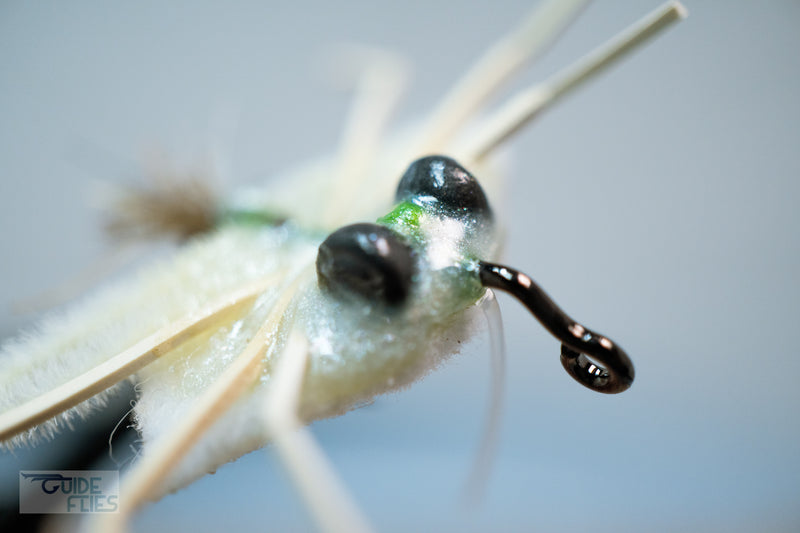 Zoom in of the medium lead eyes and color-matching epoxy belly on the white D-Back Crab