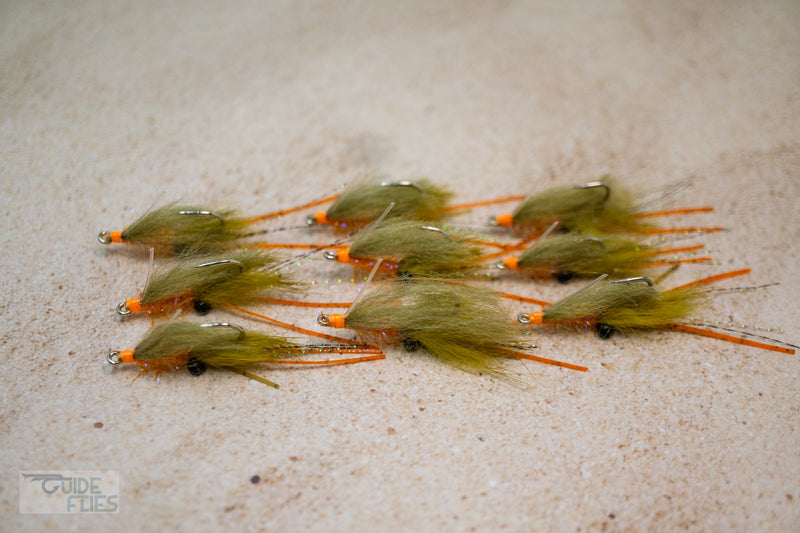 Spawning Shrimp