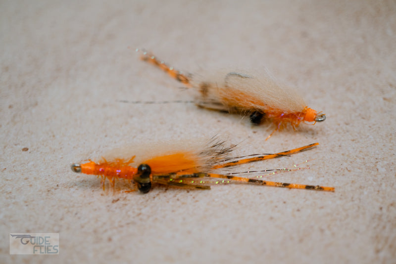 Spawning Shrimp