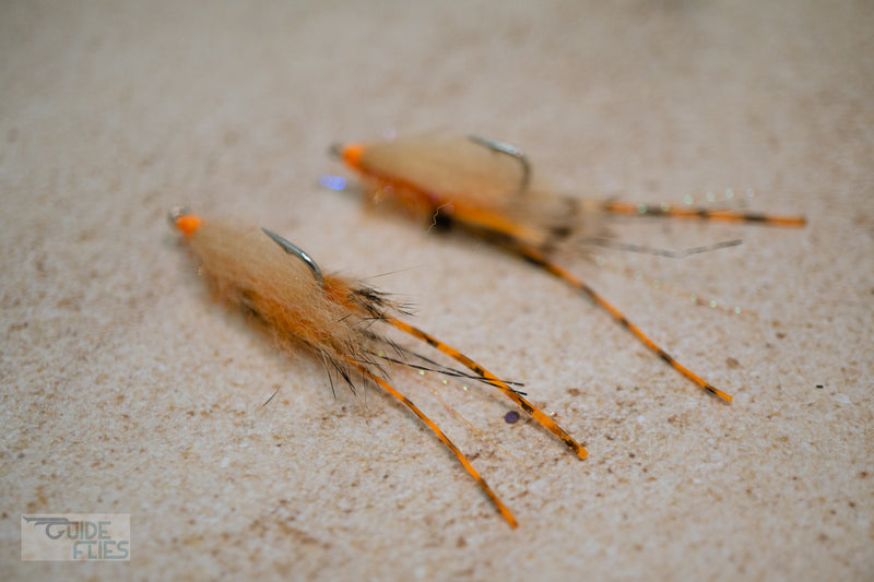 Spawning Shrimp