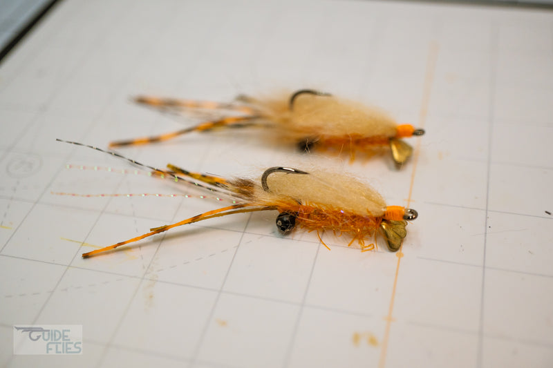 Spawning Shrimp