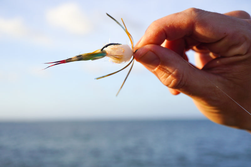 Guide UFC Crab