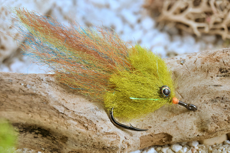 Guide Mullet