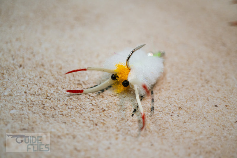 Kung Fu Crabs