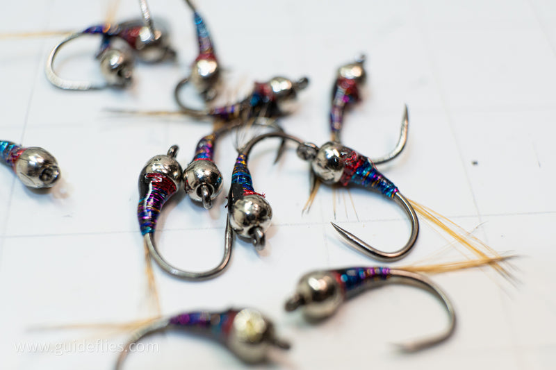 Purple Rainbow Perdigon