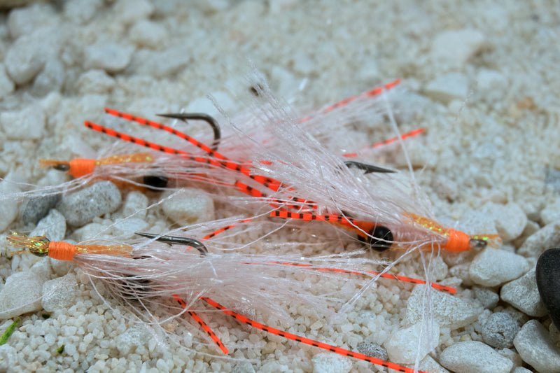 The EXO Shrimp