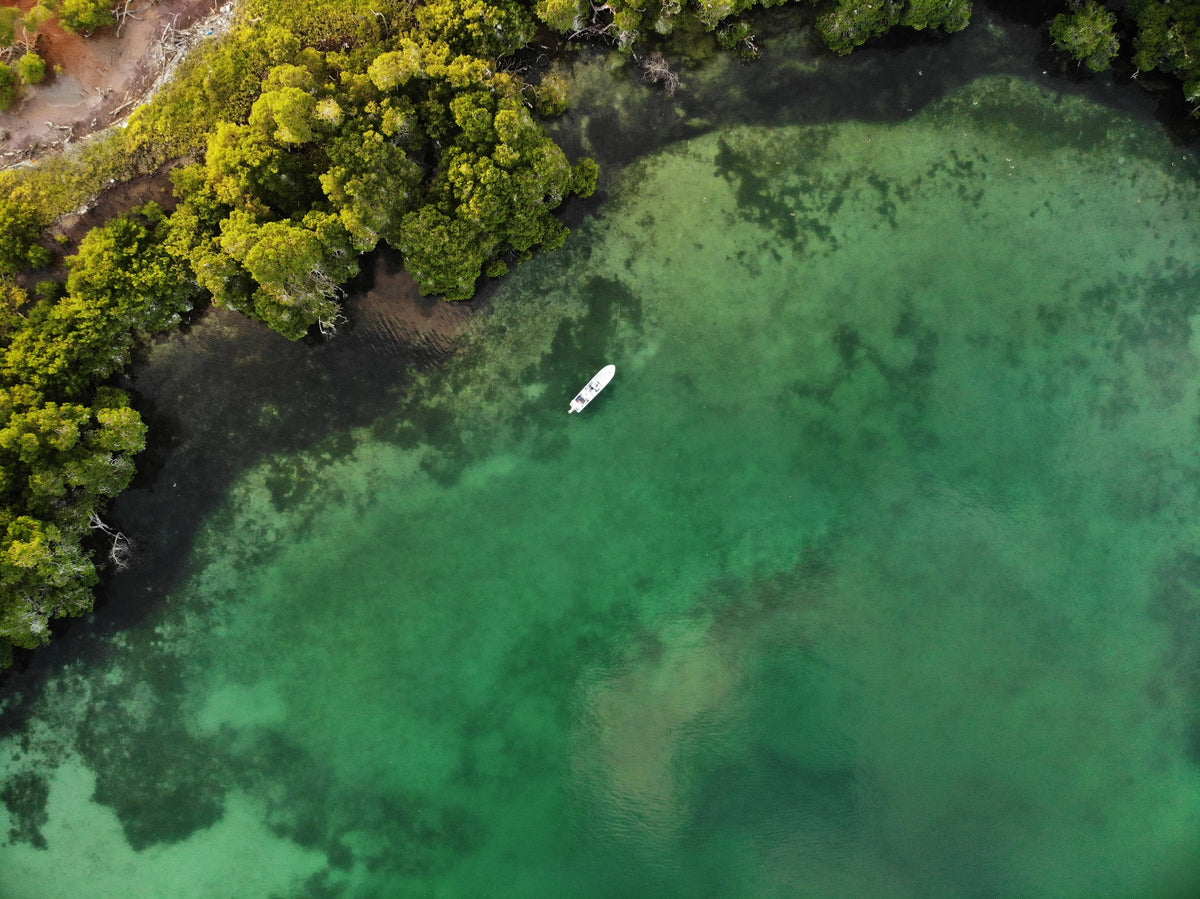Tarpon Caye Lodge - Belize