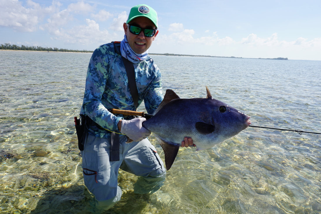 Trigger Fish Fly Fish How to Catch Triggerfish on the Fly – GuideFlies.com