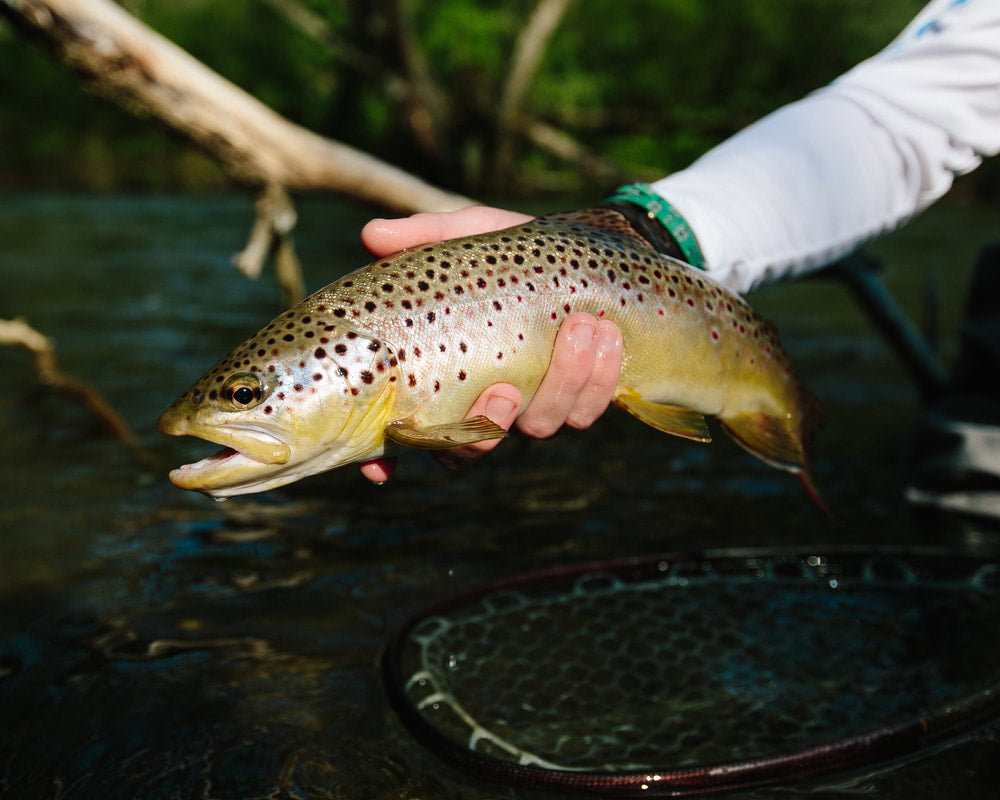 NYMPHING 101: YOUR GUIDE TO RIGGING, FLY CHOICE AND TACTICS