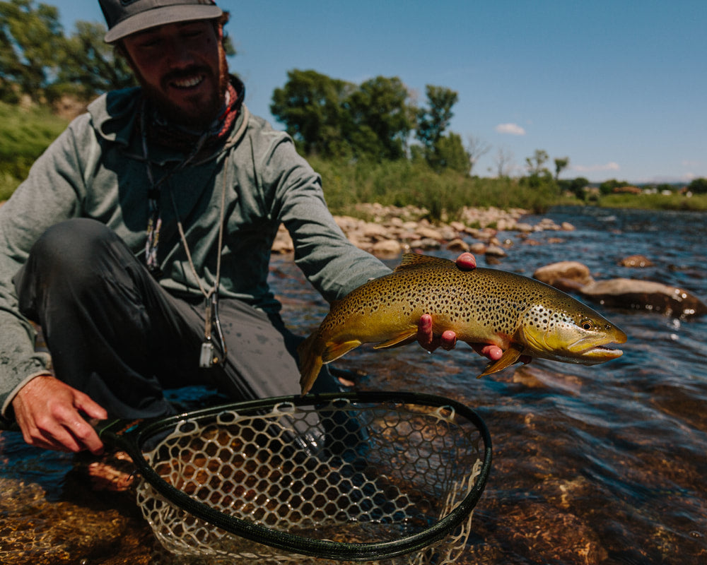 HOW TO CATCH TROUT ON DRY DROPPER RIGS