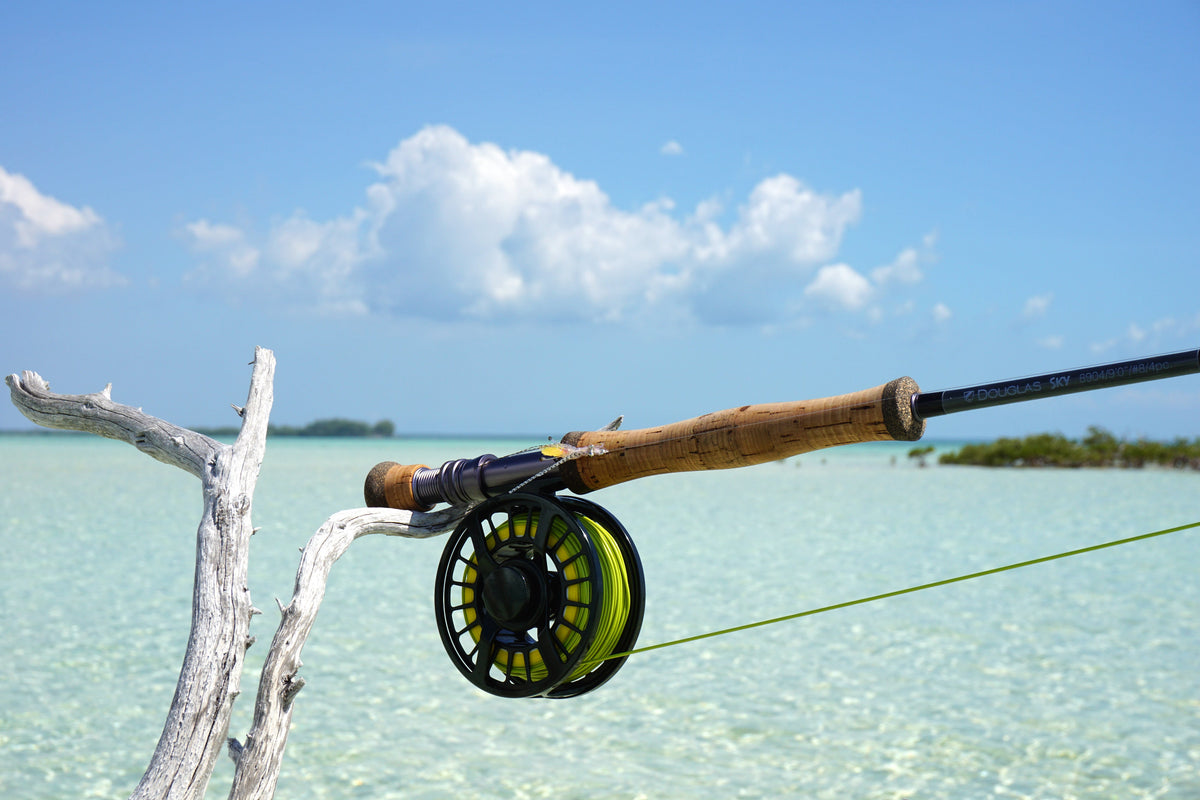 Bahamas Fly Kits