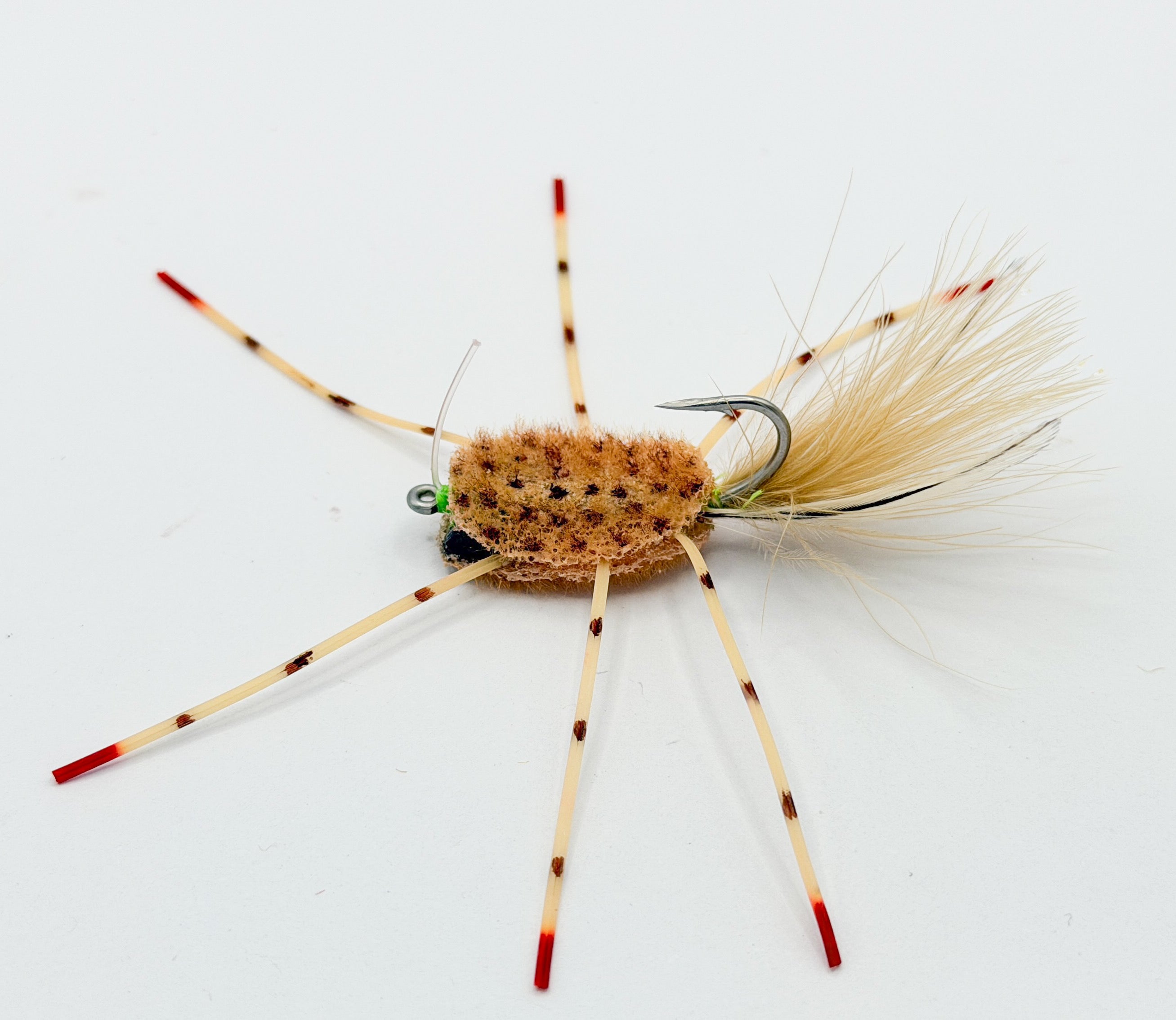 ER Crab