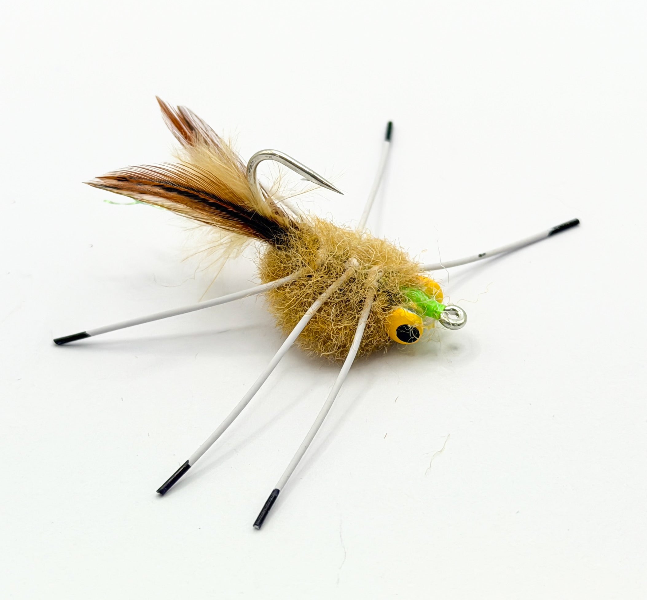 Rag Head Crab