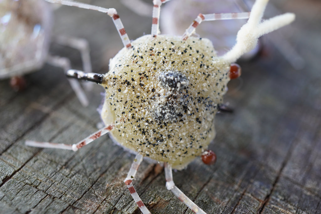 Quartz Crabs