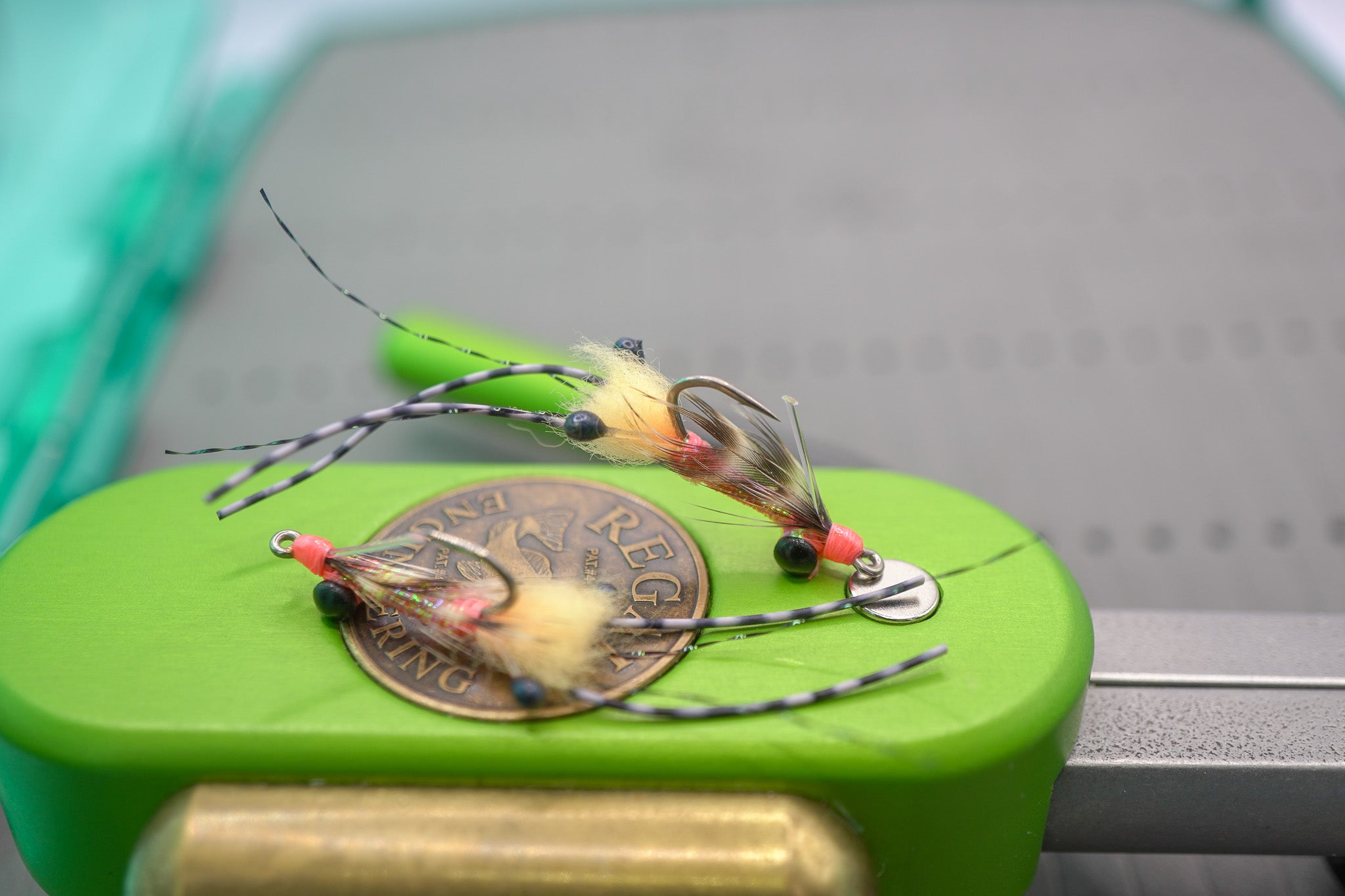 Bahamas Spawning Shrimp –
