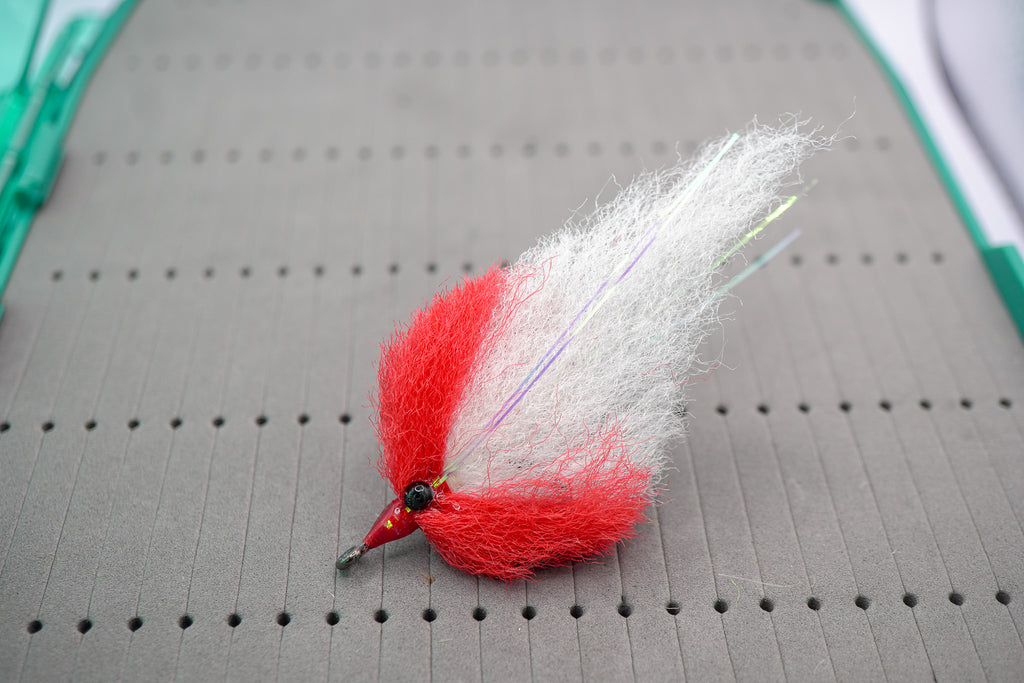 EP Baitfish