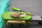 Strong Arm Merkin Crab