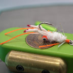 "Double Pupil" Body Guard Mantis