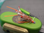 "Double Pupil" Body Guard Mantis