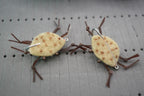 Velcro Crabs