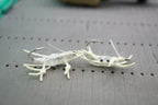Tungsten Flexo Crabs (NEW)