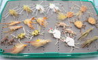 Cuba Fly Kits