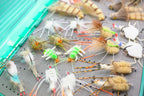 Florida Keys Fly Kits