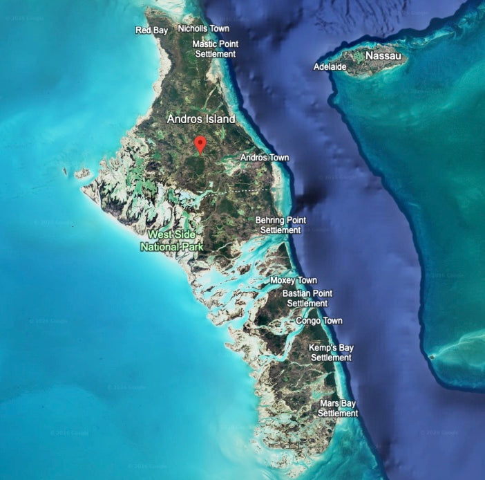 Andros Island Fly Kits