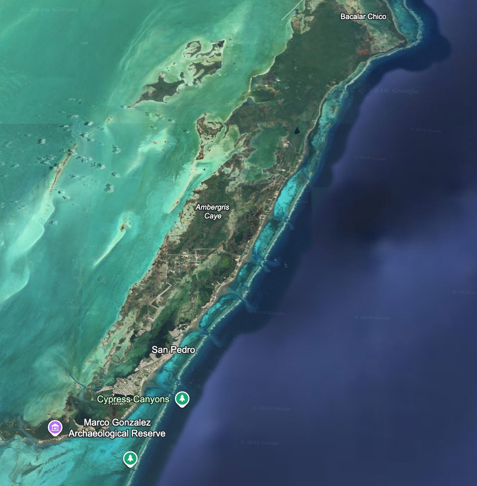 Ambergis Caye Fly Kits