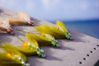 Green, tan, spawning shrimp (orange) Avalons tied with a weed guard and beads on size #2 and #4 hooks