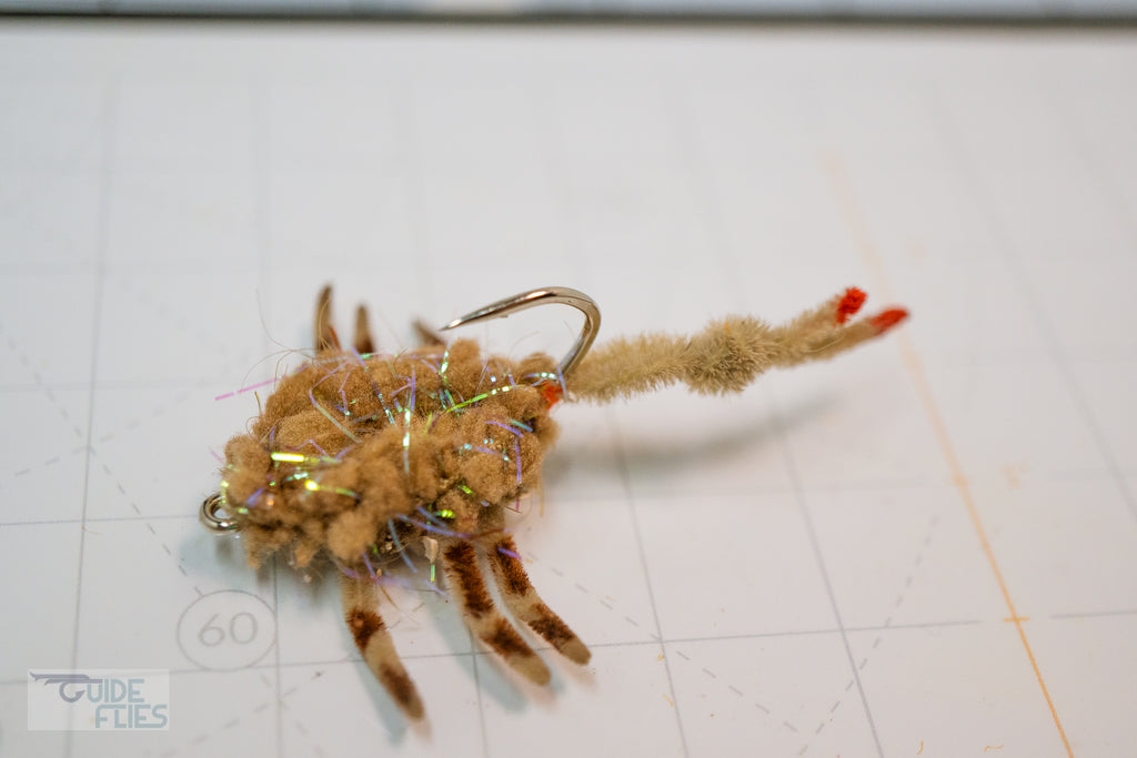 Body Guard Crabs
