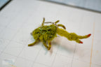 Body Guard Crabs