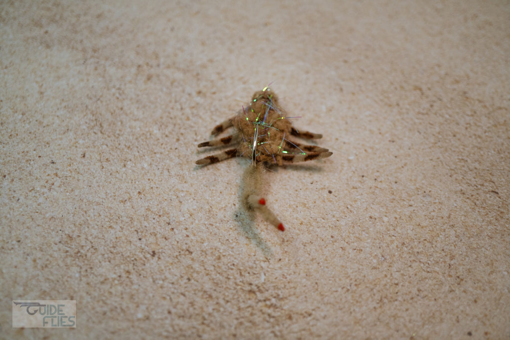Body Guard Crabs