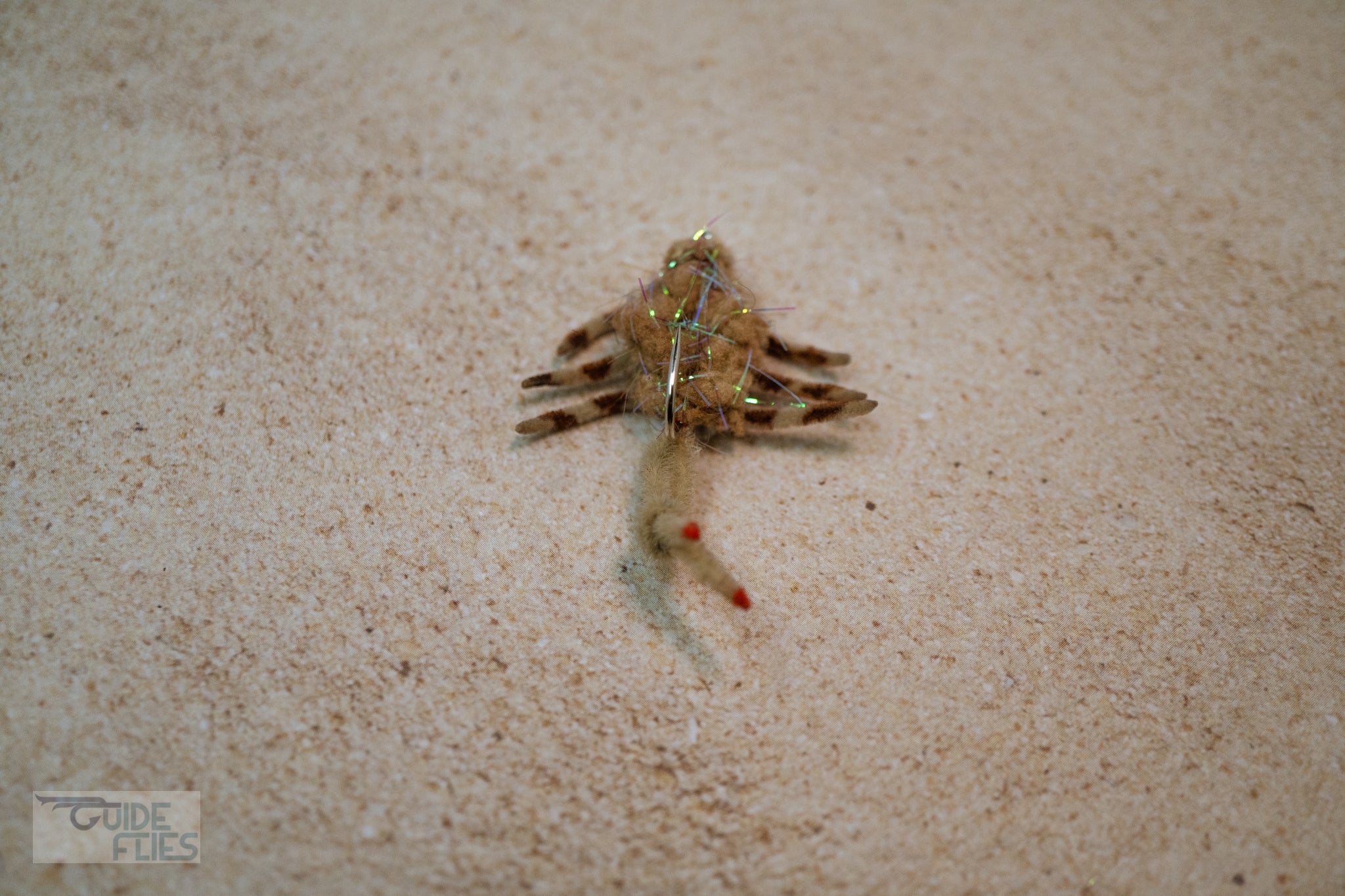 Body Guard Crabs