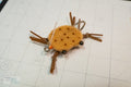 Brown combo crab with darker brown dots, matching colored rubber legs and Umpqua hooks with black beaded eyes