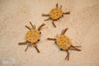 Combo Crabs
