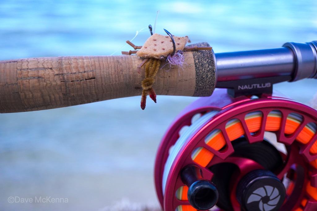 D-Back Crabs