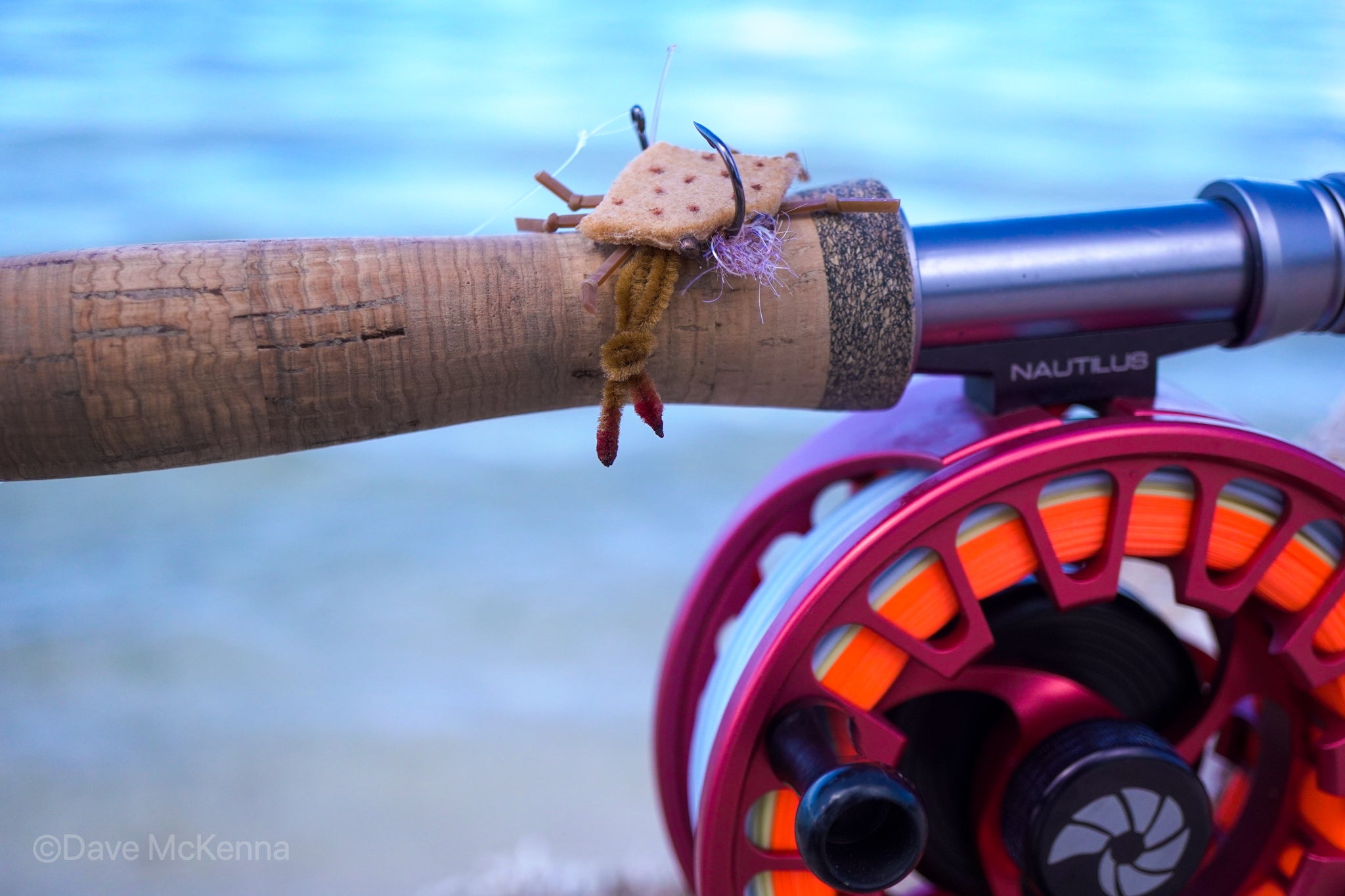 D-Back Crabs